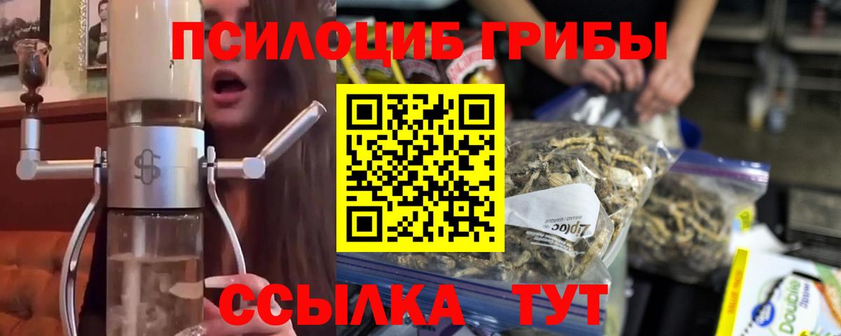 Галлюциногенные грибы Cubensis Александров